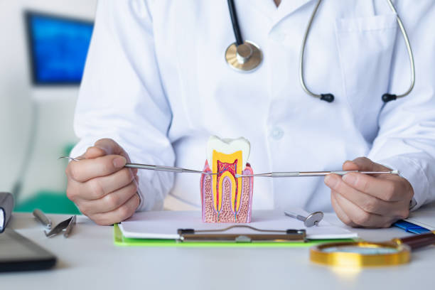 Best Cosmetic Emergency Dentistry in Laguna Woods, CA